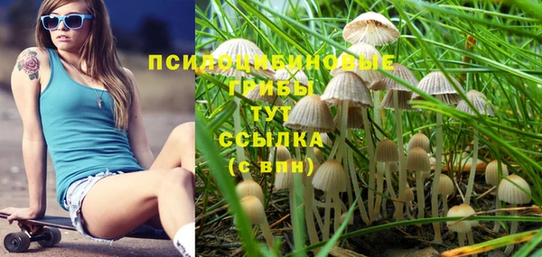 МДПВ Ельня