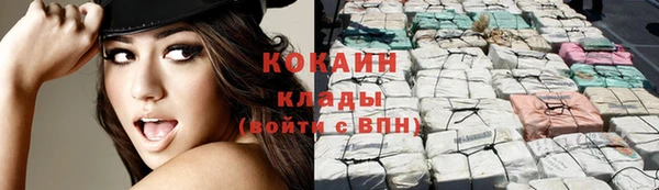 МДПВ Ельня