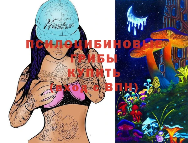 2c-b Елабуга