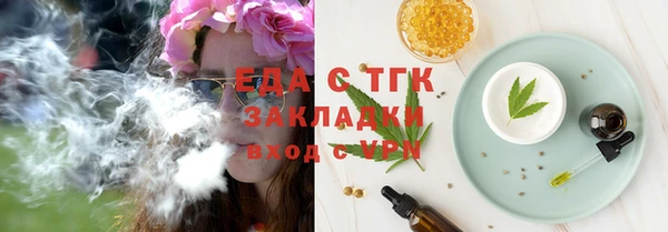 МДПВ Ельня