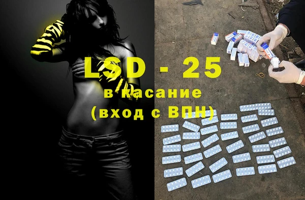 мяу мяу мука Елизово