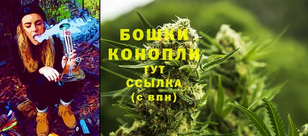 мяу мяу мука Елизово