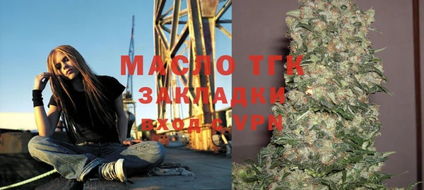 МДПВ Ельня