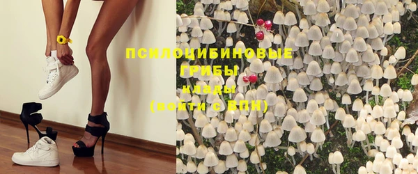 МДПВ Ельня