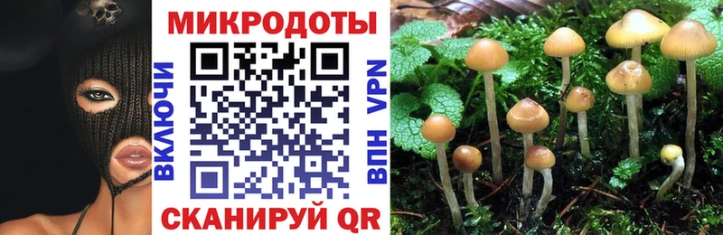 Галлюциногенные грибы Psilocybe  Купить где  Клинцы 